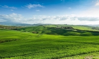 مشارکت بهره‌برداران، مسیر حفاظت پایدار از مراتع است